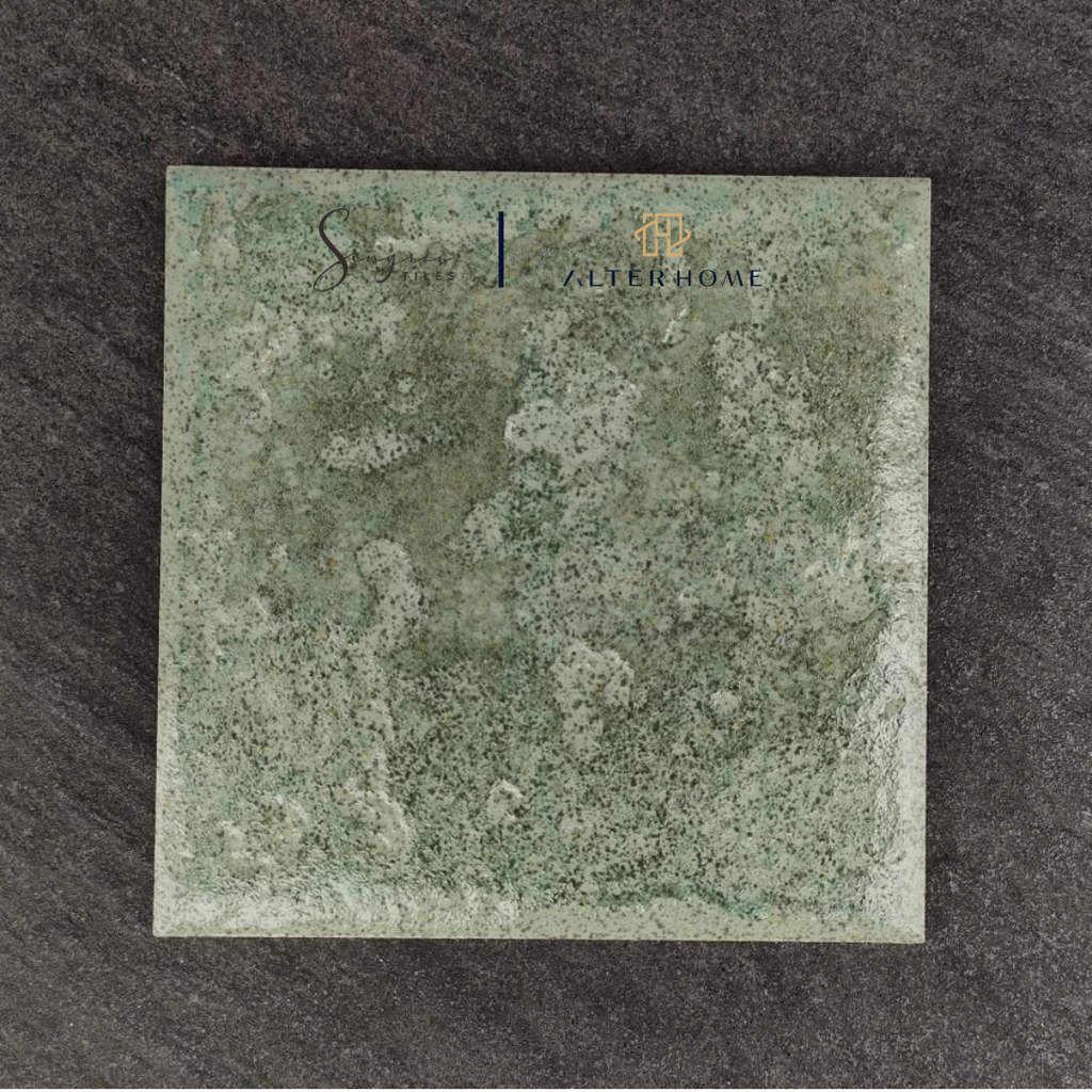 SINGRES - HAKE GLOSSY