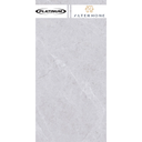 PLATINUM - TERAMO REC