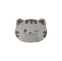 AETRIO - DIATOMITE ABSORBENT MAT (KARAKTER)