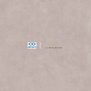 INFINITI - XYBER