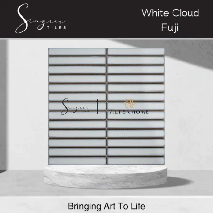SINGRES - FUJI CONCAVE GLOSSY