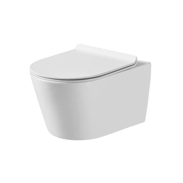 AER - HWC - 09 WASHDOWN WALL-HUNG TOILET