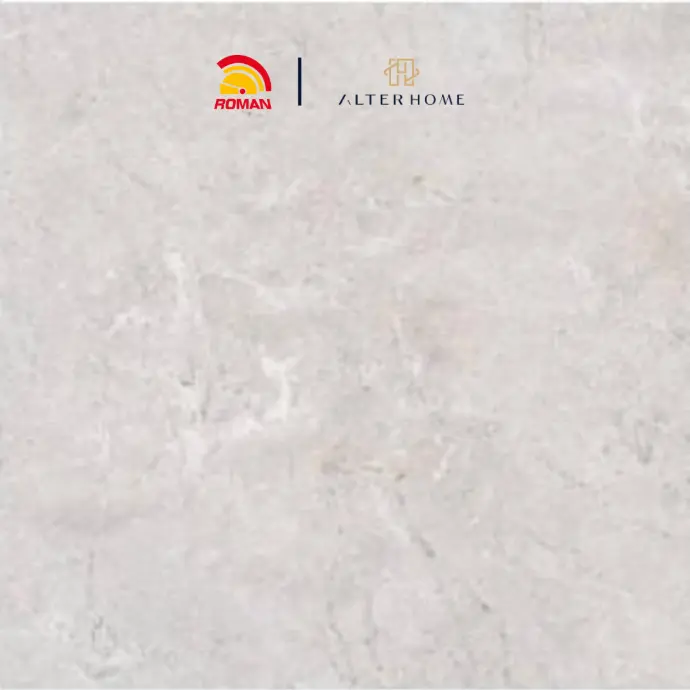 ROMAN - 26317P D HOUSTON