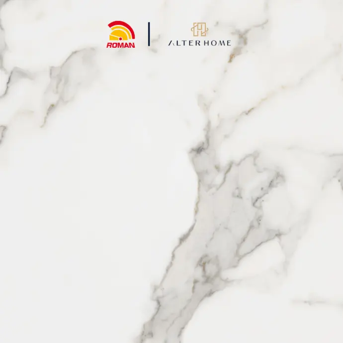 ROMAN - 33361RP D SHELBY