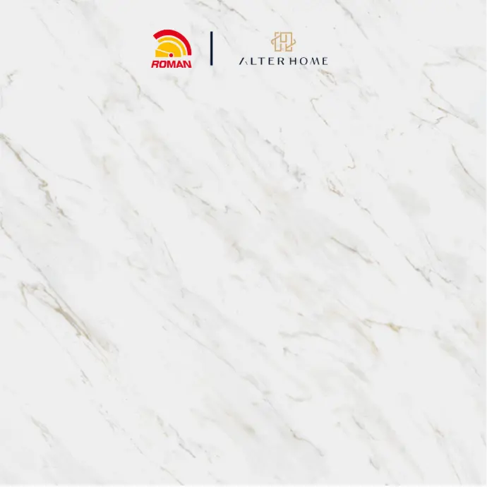 ROMAN - 33366RP D MINUET