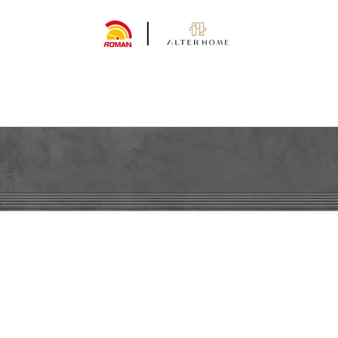 ROMAN - BGTB 2004 STEP TILE D CONCRETO