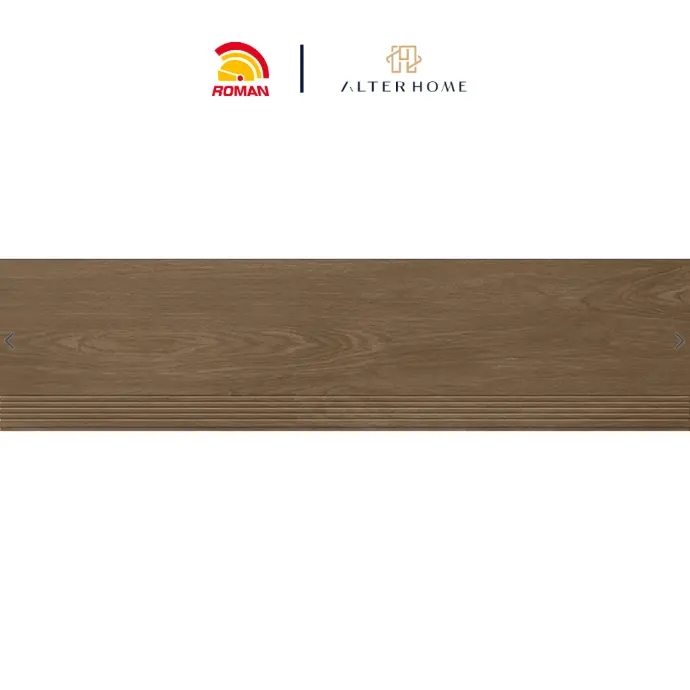 ROMAN - BGTB 2219 STEP TILE D MONGREL