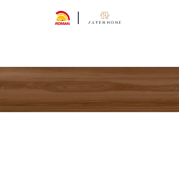 ROMAN - BGTB 2221 STEP TILE D CASK