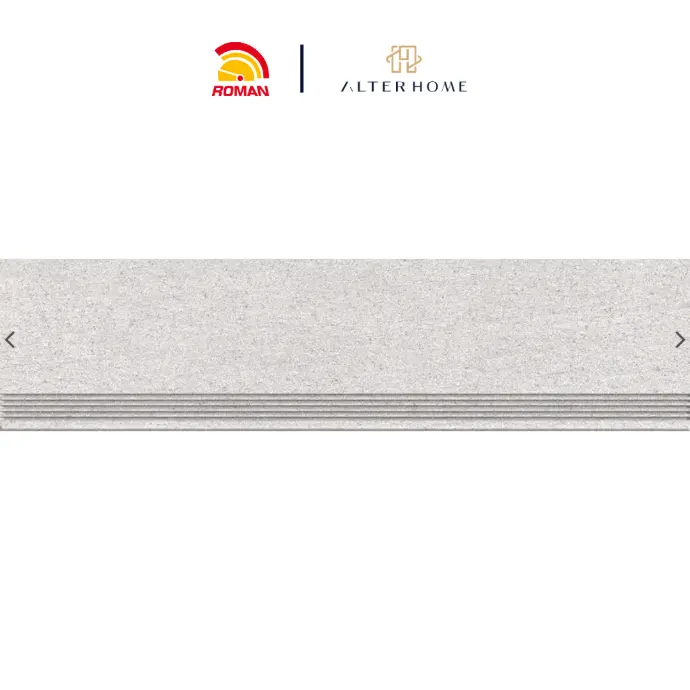 ROMAN - BGTB 2501C STEP TILE D RINJANI