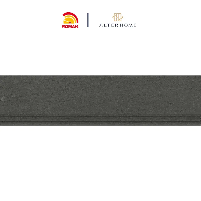 ROMAN - BGTB 2503C STEP TILE D RINJANI