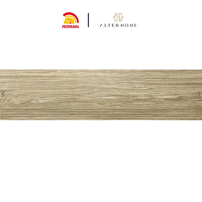 ROMAN - BGTB 5516 STEP TILE D CRENATA