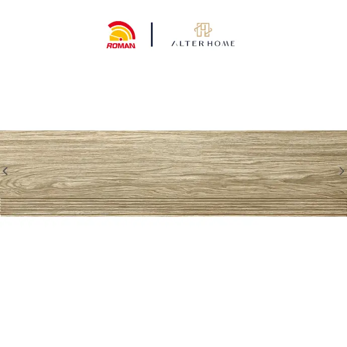 ROMAN - BGTB 5518 STEP TILE D CRENATA