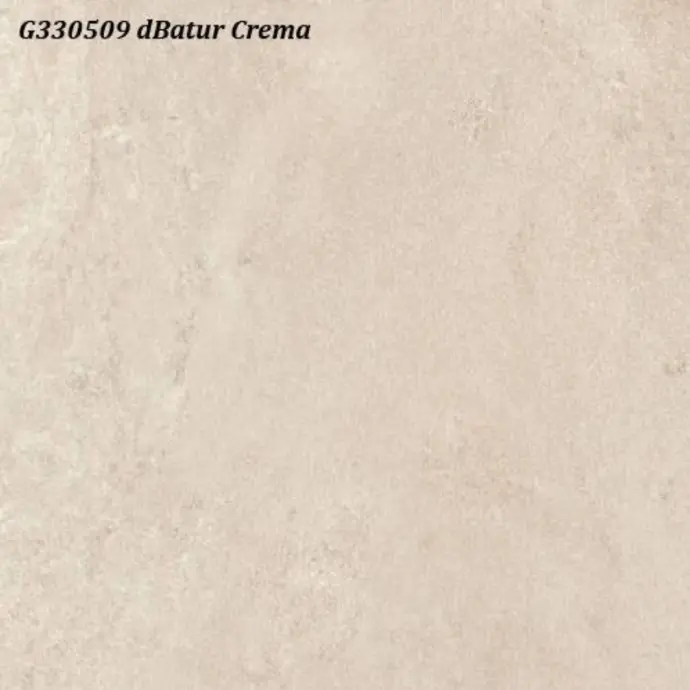 ROMAN - G 330509 D BATUR