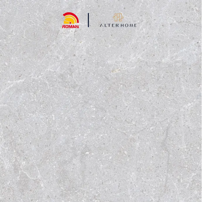 ROMAN - G 330800 D LASTRICO