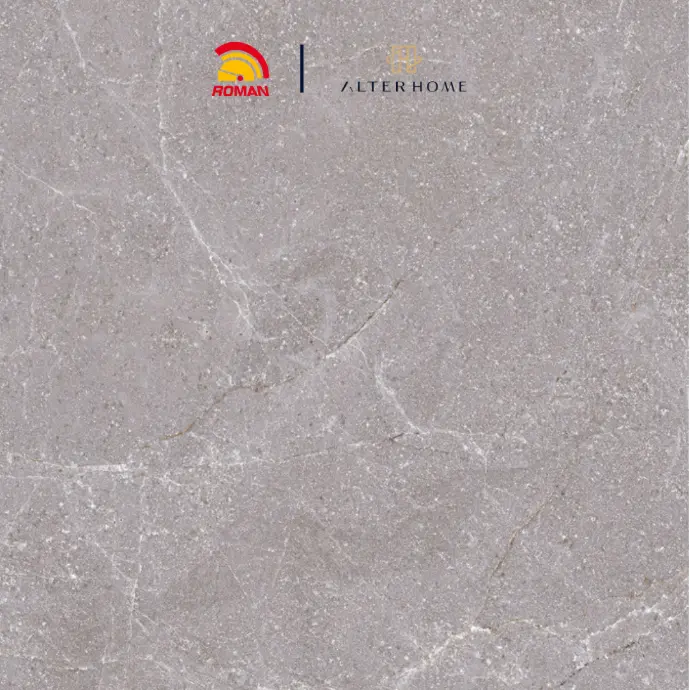 ROMAN - G 330801 D LASTRICO