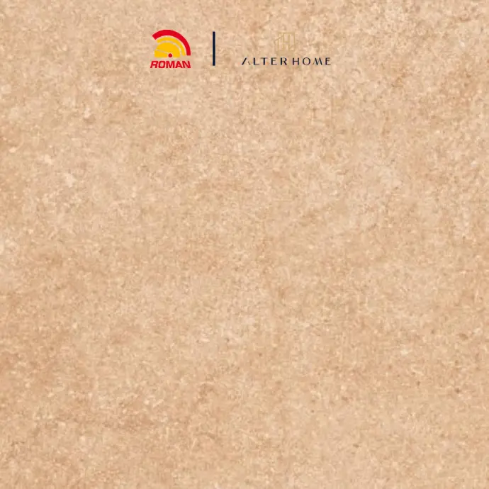 ROMAN - G 337506 D BOLONIA