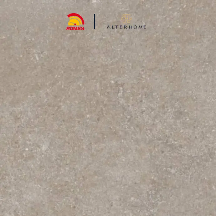 ROMAN - G 337507 D BOLONIA