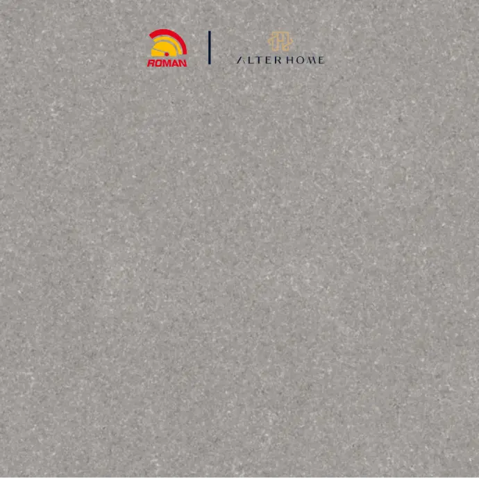 ROMAN - G 440503 D DOMICA