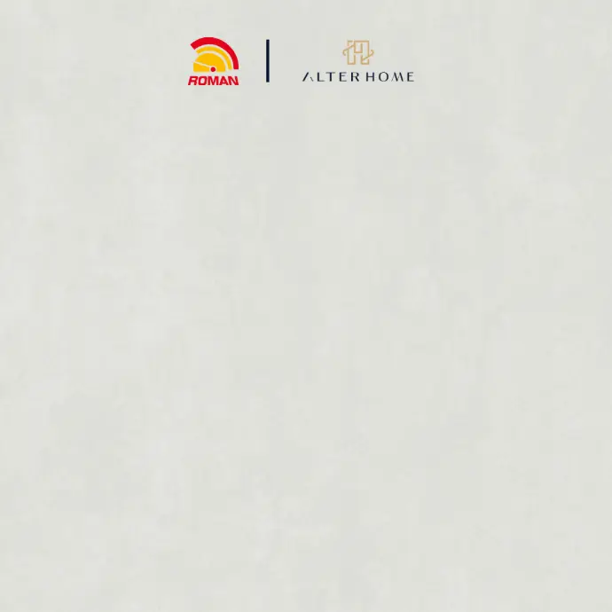 ROMAN - G 447253 D AICHI