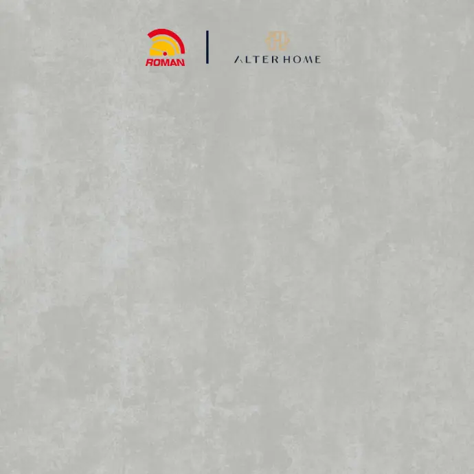 ROMAN - G 447255 D AICHI