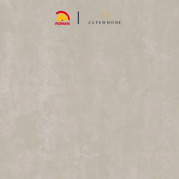 ROMAN - G 447256 D AICHI