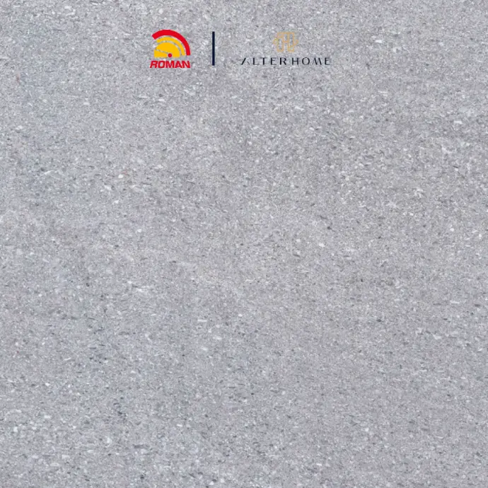 ROMAN - G 447512 D LOGAN