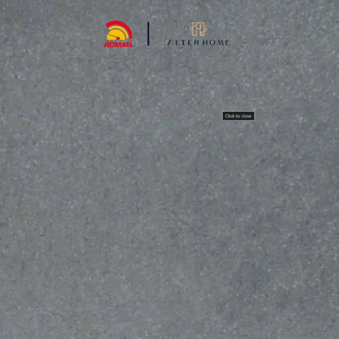 ROMAN - G 550013 D BUDAPEST