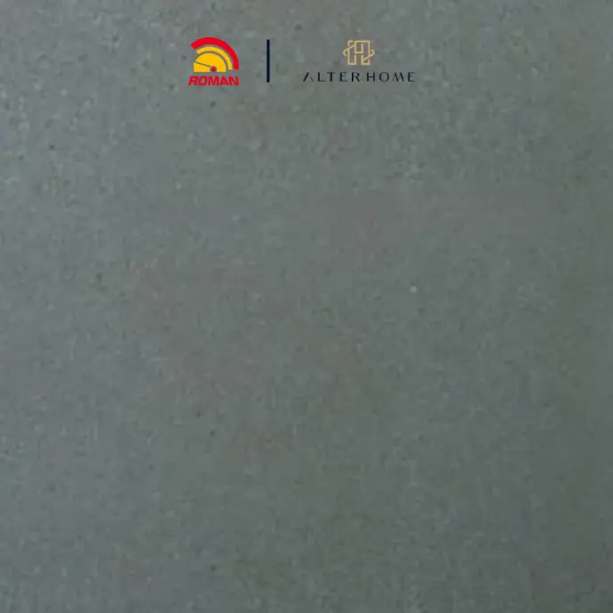 ROMAN - G 557322 NEWCASTLE