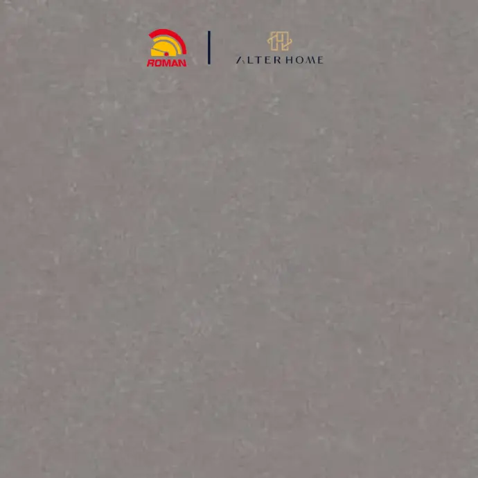 ROMAN - G 557381 D MEGAPOLIS