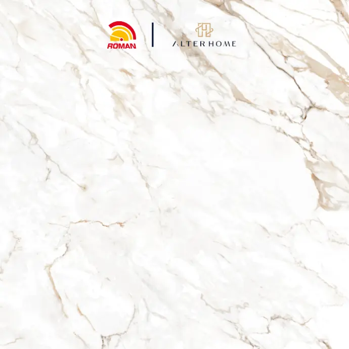 ROMAN - GT 1009443FR D VILLADESTE