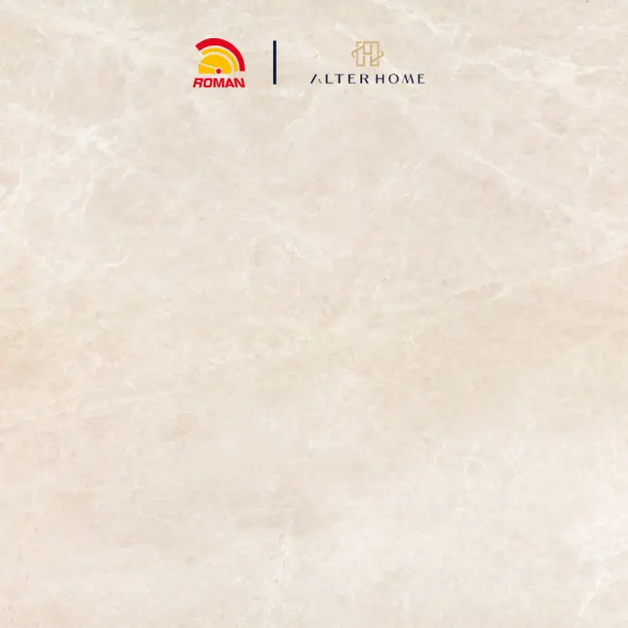 ROMAN - GT 1009449FR D BRUGES