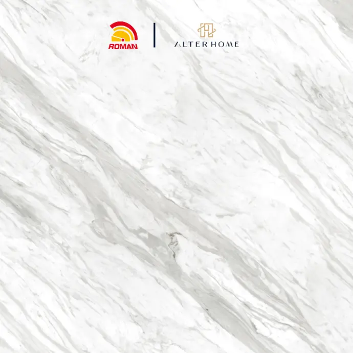 ROMAN - GT 1009454FR D VASA