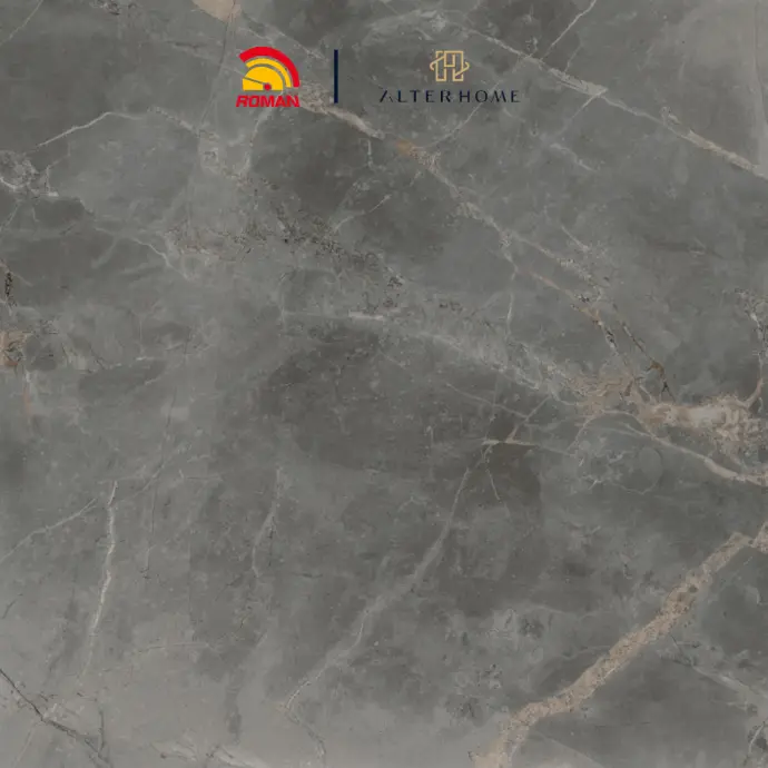 ROMAN - GT 1009493FR D FIORDIBOSCO