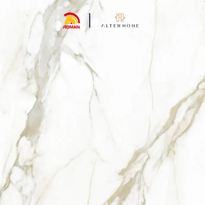 ROMAN - GT 1009505FR D VERIA