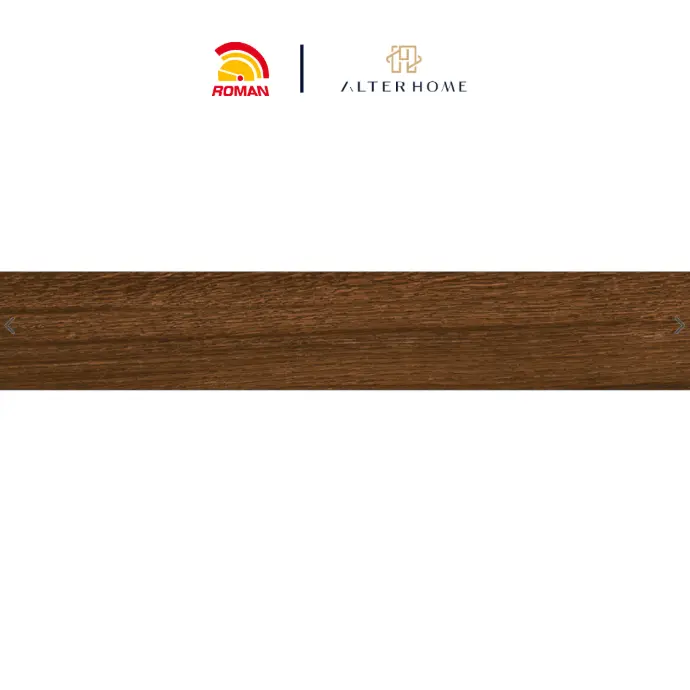 ROMAN - GT 1222218R D MONGREL