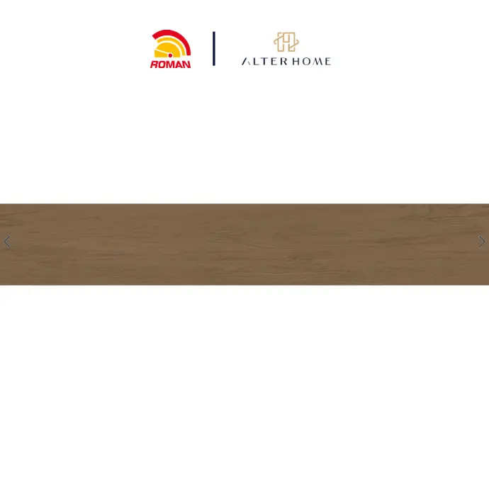 ROMAN - GT 1222219R D MONGREL