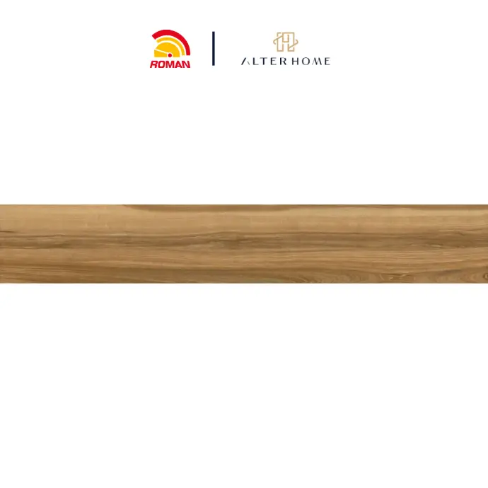 ROMAN - GT 1223002R D BARREL