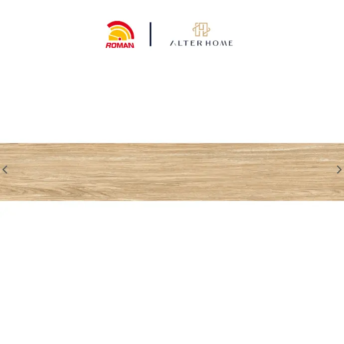 ROMAN - GT 1225517R D CRENATA