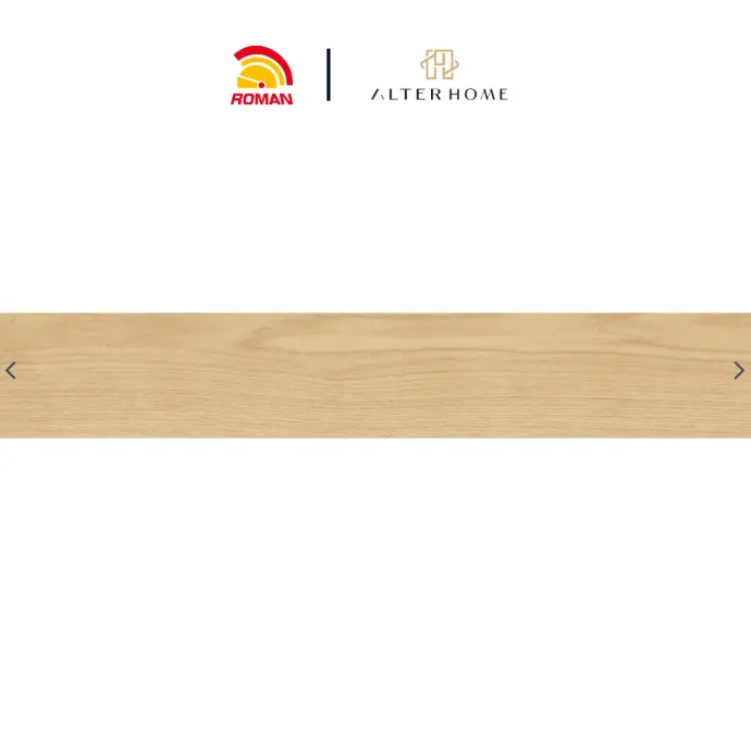 ROMAN - GT 1225519R D CHALLIS