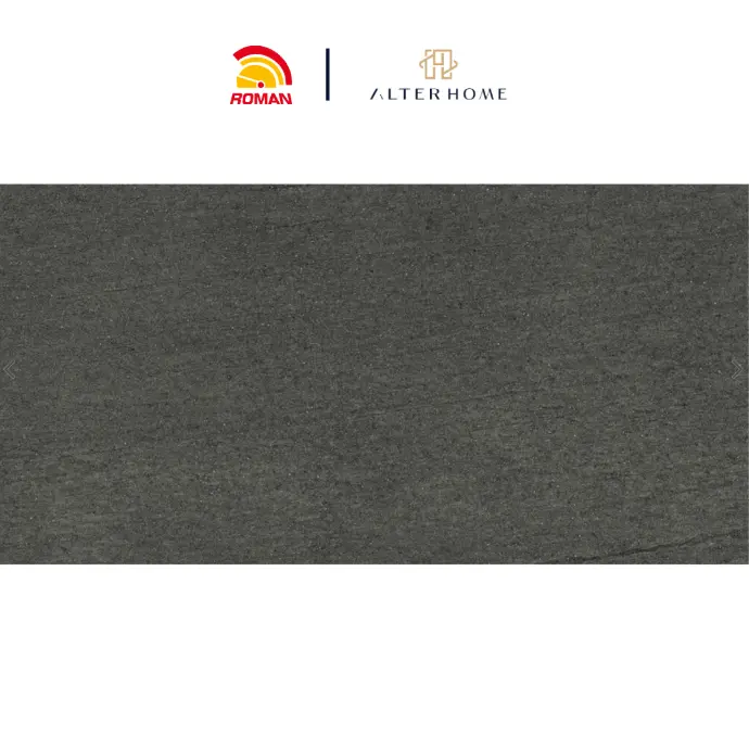 ROMAN - GT 1262503CR D RINJANI