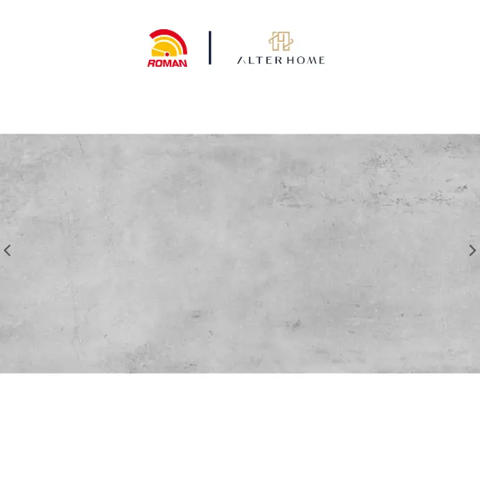 ROMAN - GT 1262505R D TSIMENTO