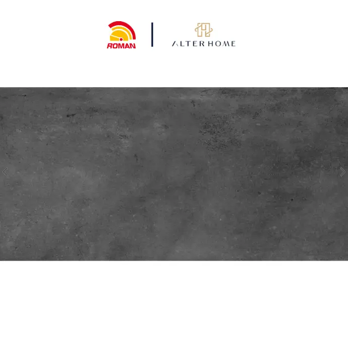 ROMAN - GT 1262507R D TSIMENTO