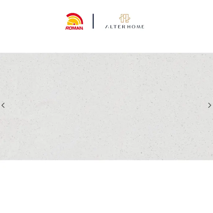 ROMAN - GT 1265513R D SHARD