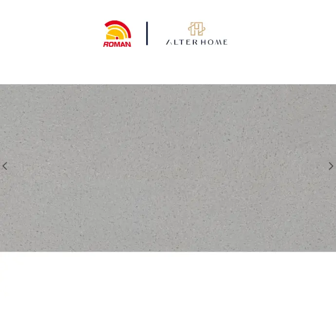 ROMAN - GT 1265514R D SHARD