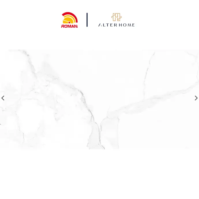 ROMAN - GT 1269458FR D MACRA