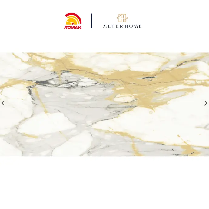 ROMAN - GT 1269471FR D RUGGETA