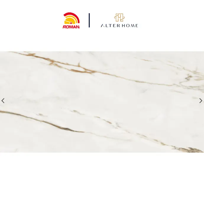 ROMAN - GT 1269481FR D MATARAZZO