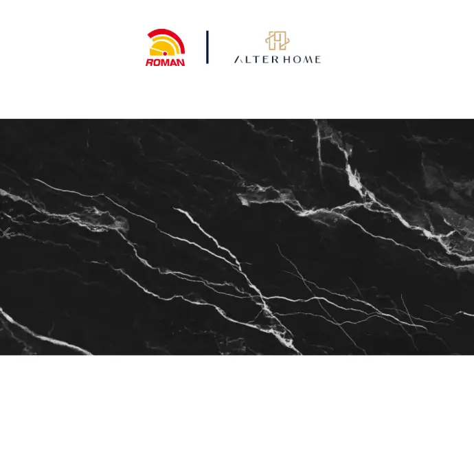 ROMAN - GT 1269484FR D VANTA