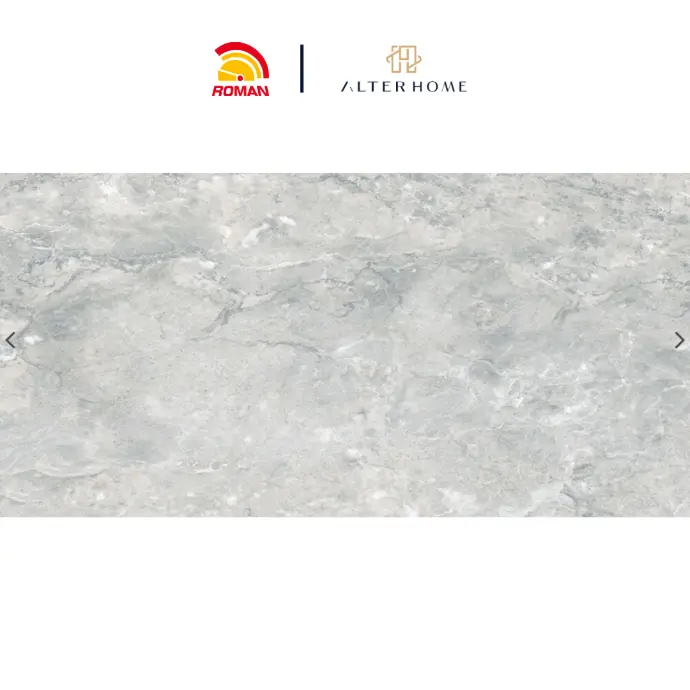 ROMAN - GT 1269866FR D PERLATO