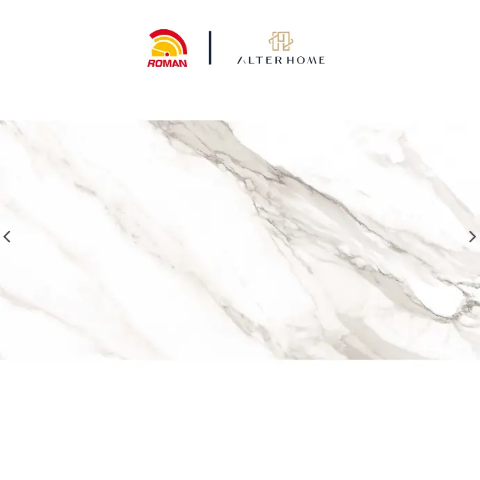 ROMAN - GT 1269867FR D VENOSTA